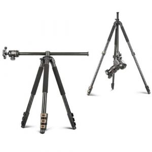Website (1)